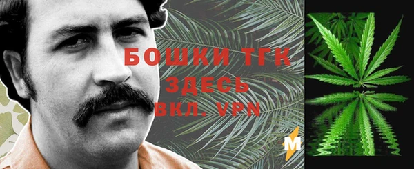 mdpv Горняк