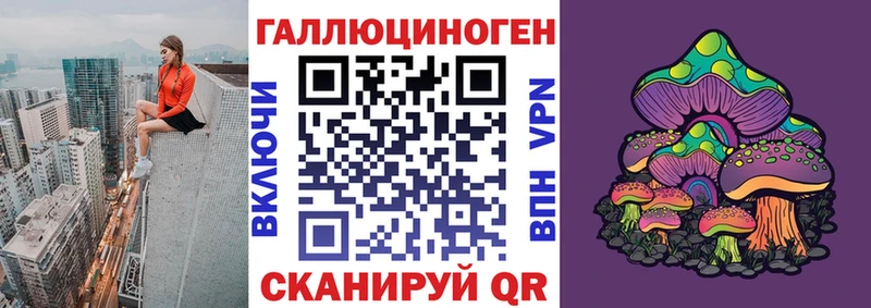 Галлюциногенные грибы GOLDEN TEACHER  Купить закладки  Каргополь 